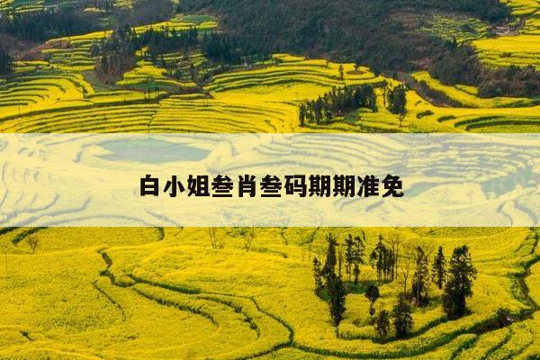 2025年5月28日 第5页