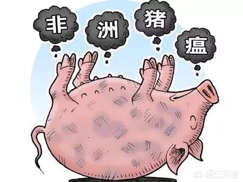 新澳门彩出号综合走势图手机版,最佳精选数据资料_手机版24.02.60