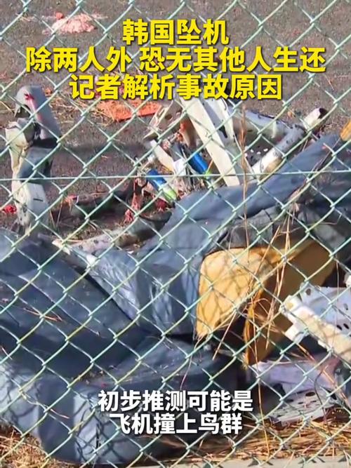 韩国坠机致4人遇难,韩国坠机事件
