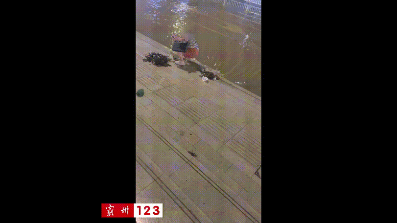 街头下水道爬出女子,街头下水道爬出女子身体视频