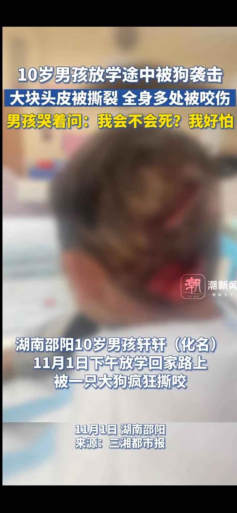 男童吃毒蘑菇去世,小孩吃毒蘑菇中毒视频