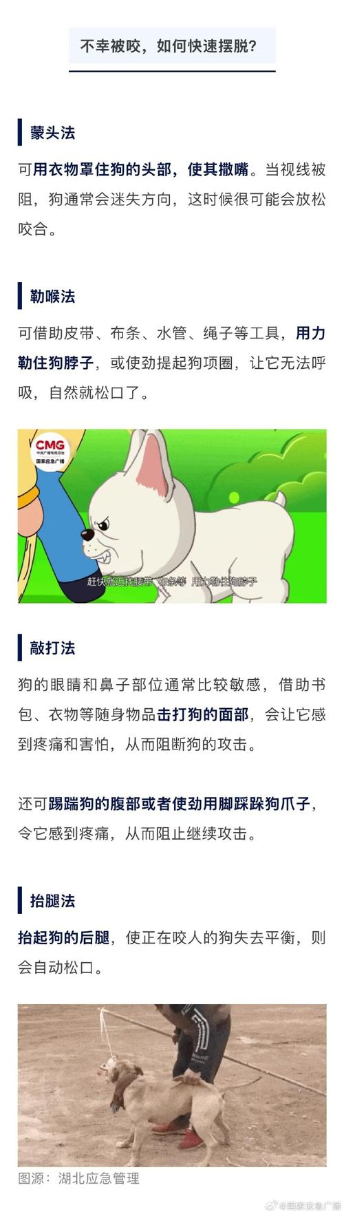 狗闯村民家咬伤女童,村里的狗咬人,应该找谁解决